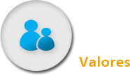 VKS | Empresa | Valores