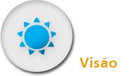 VKS | Empresa | Visão